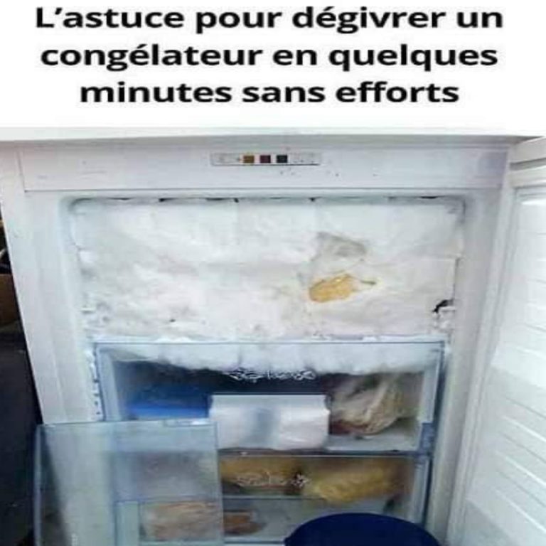 L’astuce pour dégivrer un congélateur en quelques minutes sans efforts The Flavorful Journey